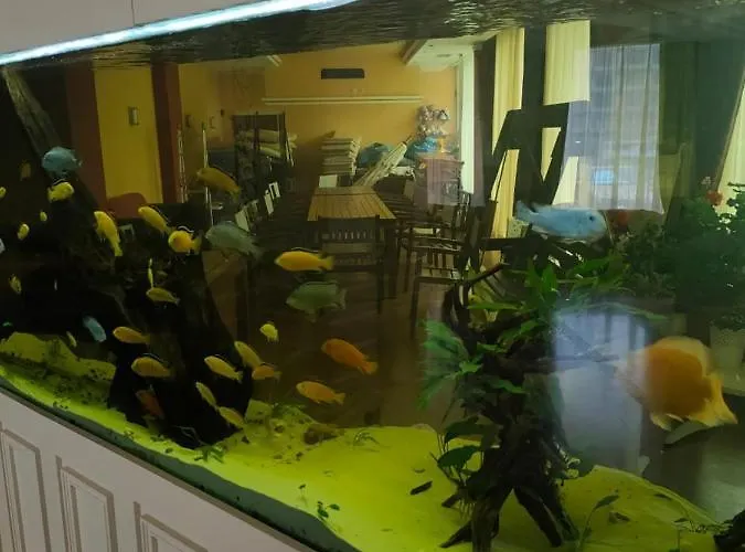 Afrodita , 4 Floor, Pool View * Sunny Beach